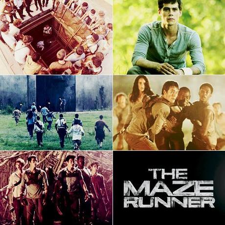 The Maze Runner - Il Labirinto (movie)