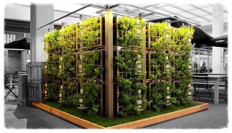 SPACE_Mojitos_AIR_GARDEN_CubeMe1