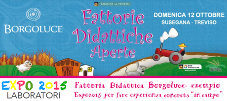 Fattoria Didattica Borgoluce esempio Expo2015 per fare esperienza concreta in campo - Susegana TV