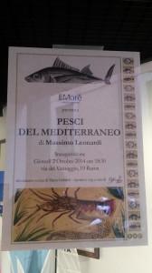 Pesci del Mediterraneo