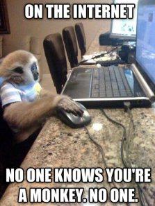 Monkey Computer