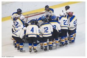 hockey ghiaccio - torino bulls