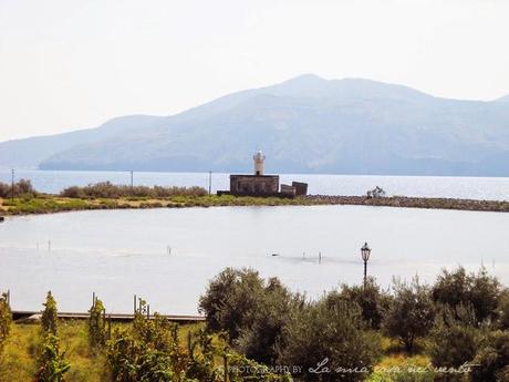 {Piccolo diario di viaggio: Isola di Salina}