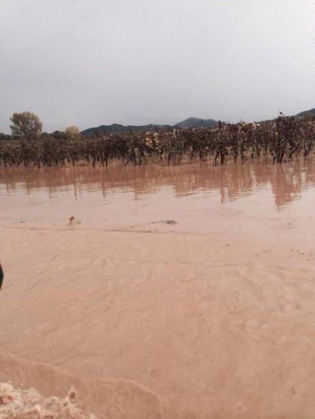 VOGHERA. Frutteti distrutti dalla grandine, allagamenti, frane per la tempesta d’acqua abbattutasi da ieri notte sull’Oltrepò Pavese