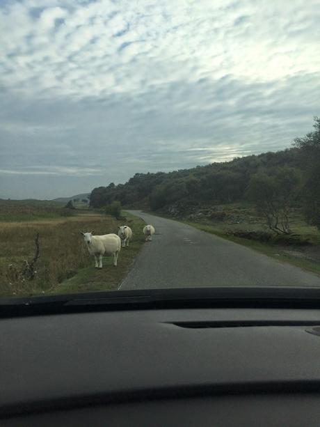 VIAGGI / LE HIGHLANDS SCOZZESI