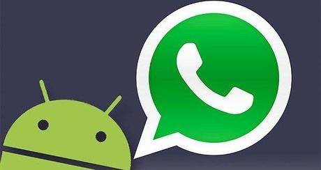 WhatsApp per PC: come installare l’app su Windows o Mac whatsapp-pc