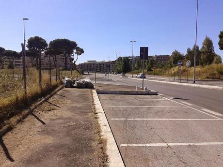 Retake Roma. Le piante infestanti si stanno impossessando di tutti i marciapiedi. A Ponte di Nona ci pensano i cittadini