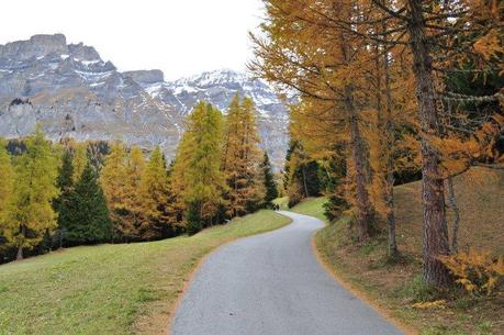 foliage_leukerbad_Svizzera