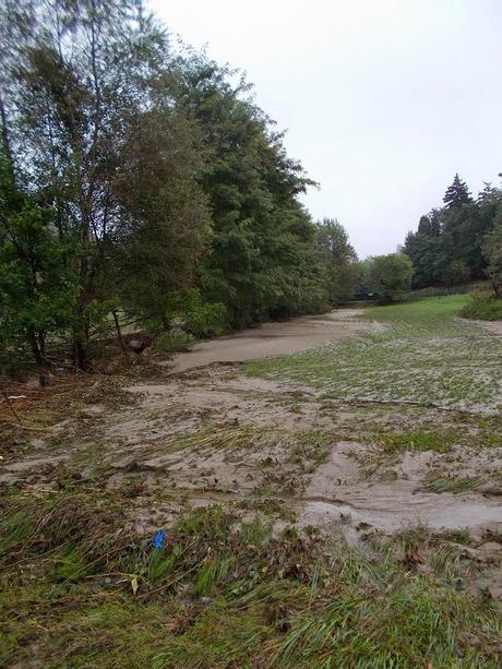 Rio Vargo - Stazzano (AL) il giorno dopo il diluvio...