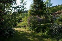 Giardino con alberi