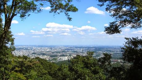 Tokyo dall'alto