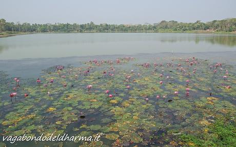 bangladesh, bagerhat