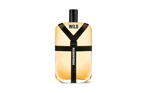 Dsquared2-Wild