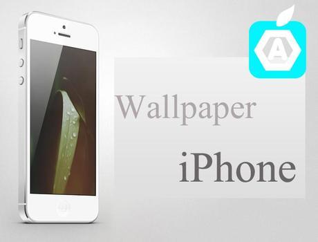 Ecco tre sfondi per iPhone 6/6 Plus e iPhone 5/5S/5C sfondi-iphone-Applefive