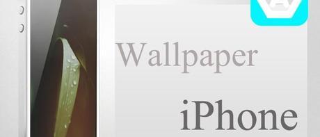 Ecco tre sfondi per iPhone 6/6 Plus e iPhone 5/5S/5C sfondi-iphone-Applefive