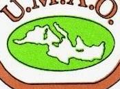 Roma, corsi professionali amatoriali assaggiatori olio.