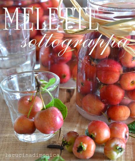 melette sottograppa