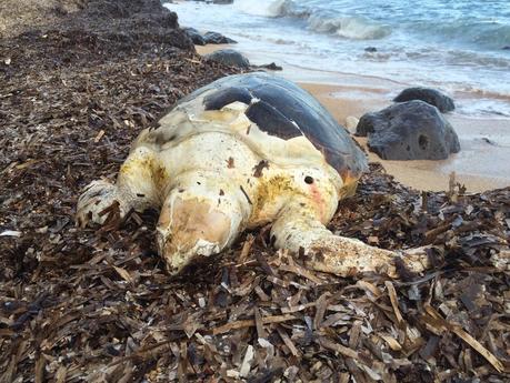 Il mare d'autunno: cronaca di una giornata particolare