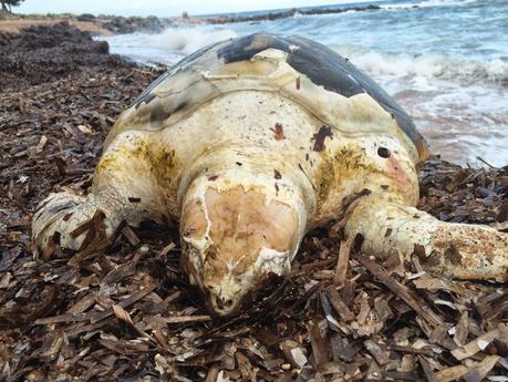 Il mare d'autunno: cronaca di una giornata particolare