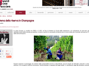 Governance, stock riserve