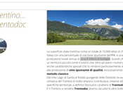 riparte sette