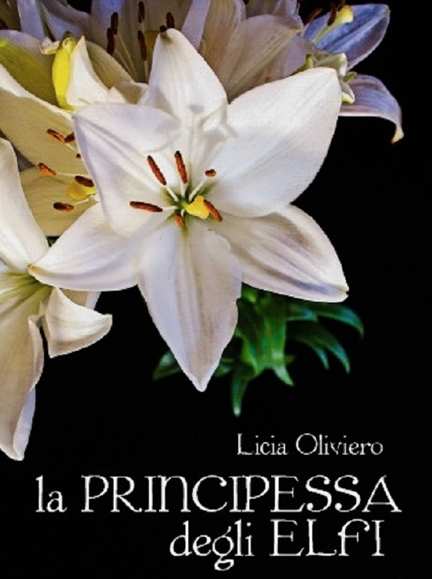 la principessa degli elfi