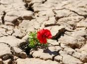 Resilienza