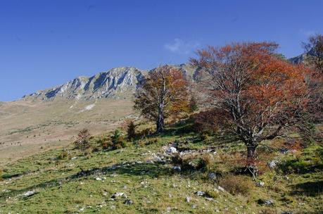 CRESTA OVEST DEL MONTE NERO : Kal