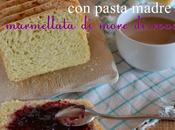 marmellata more rovo frutti Rubus fruticosus