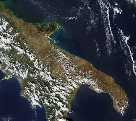 #AlluvioneGargano | Il movimento del flusso detritico rilasciato in mare dai torrenti del Gargano durante l'alluvione visto dal satellite