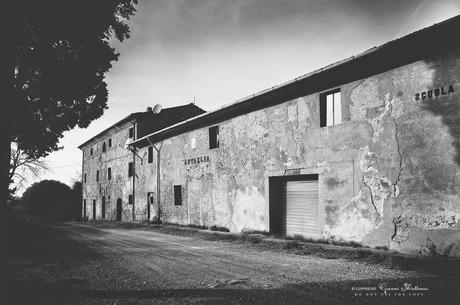 .. a giro per la campagna pisana