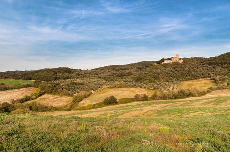 .. a giro per la campagna pisana