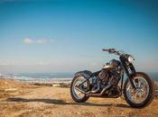 "Del Mar" Softail Roland Sands