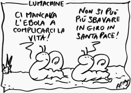 LE LUMACHINE: UNA STRISCIA DI BAVA!