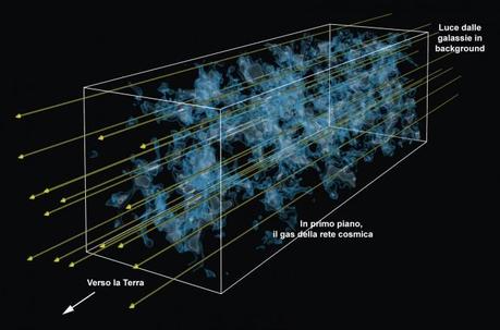 Ecco la TAC dell’universo teenager