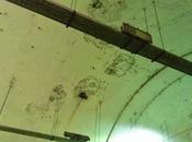 Traforo Umberto ammuffisce. ricordate com'era bello vernice mangia inquinamento? hanno lasciato morire, anche