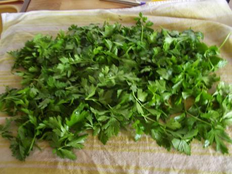 IL BAGNETTO VERDE PIEMONTESE