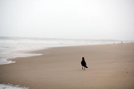 Arugam Bay, sri lanka, viaggiandovaldi