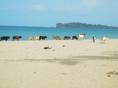 Uppuveli, sri lanka, viaggiandovaldi