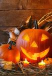 Foto Halloween prese da Pinterest (7)