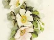 Mostra Personale Marina Boggio