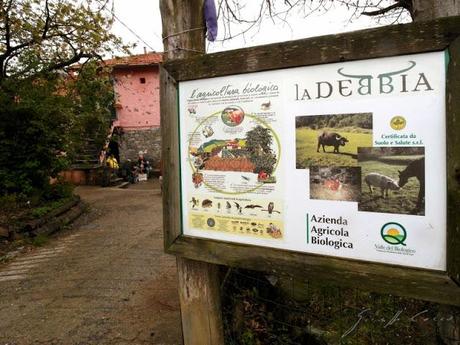 Liguria: La Debbia, agriturismo biologico in cui bellezza e gusto appagano lo spirito