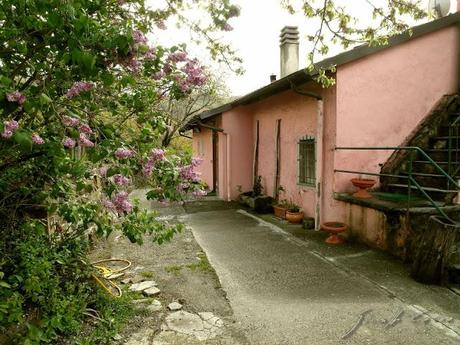 Liguria: La Debbia, agriturismo biologico in cui bellezza e gusto appagano lo spirito