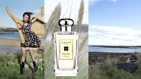 IL PROFUMO: WOOD SAGE & SEA SALT di JO MALONE