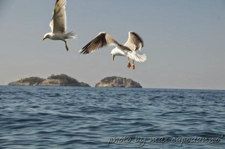 I Moti dell' Anima 2014 POSITANO