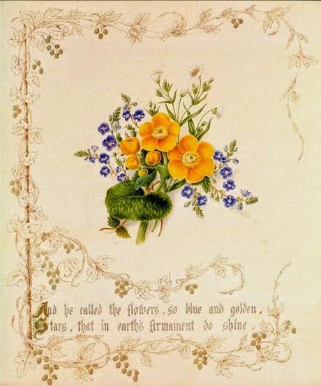 The Country Flowers of a Victorian Lady by Fanny Robinson.