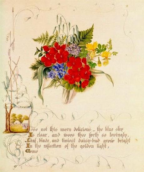 The Country Flowers of a Victorian Lady by Fanny Robinson.