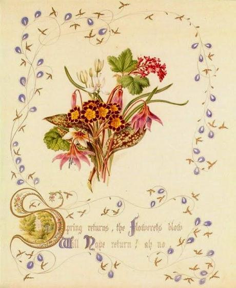 The Country Flowers of a Victorian Lady by Fanny Robinson.