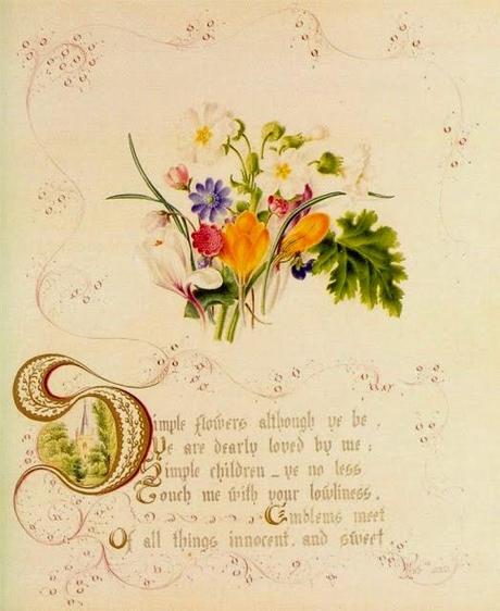 The Country Flowers of a Victorian Lady by Fanny Robinson.