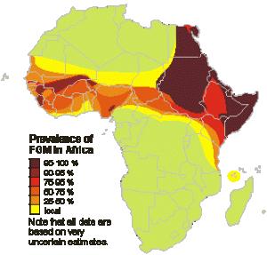 Fgm_map